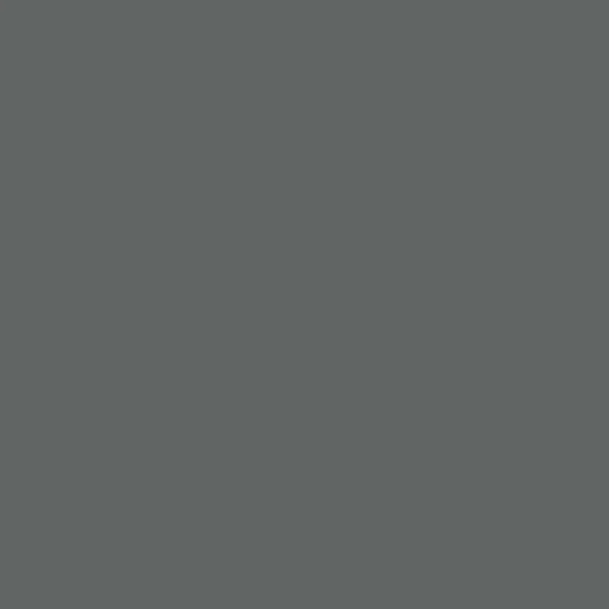 Ambrosiana // Original Pigments Paint