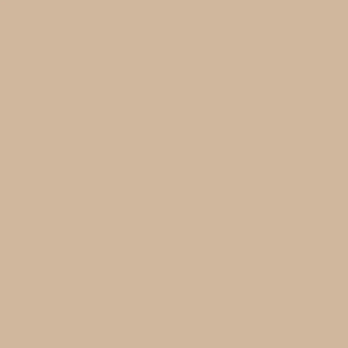 Bredgade // Original Pigments Paint