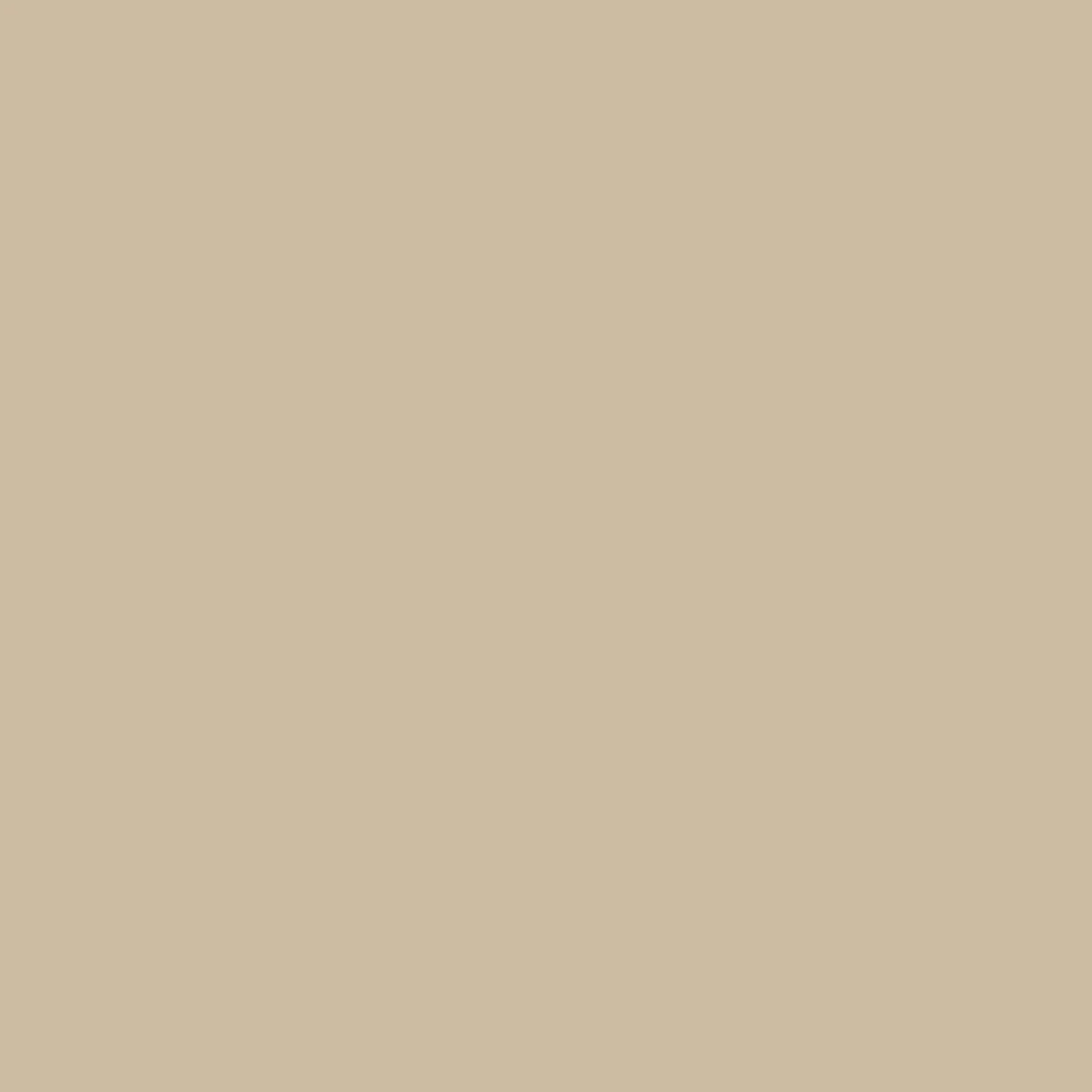 Grote // Original Pigments Paint