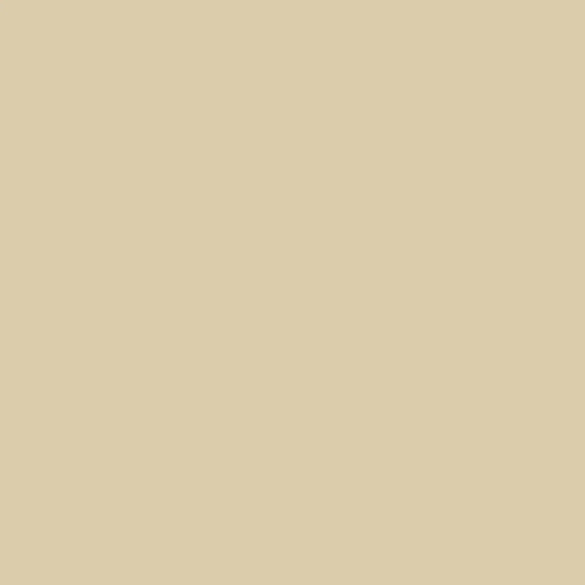 Ihoan // Original Pigments Paint