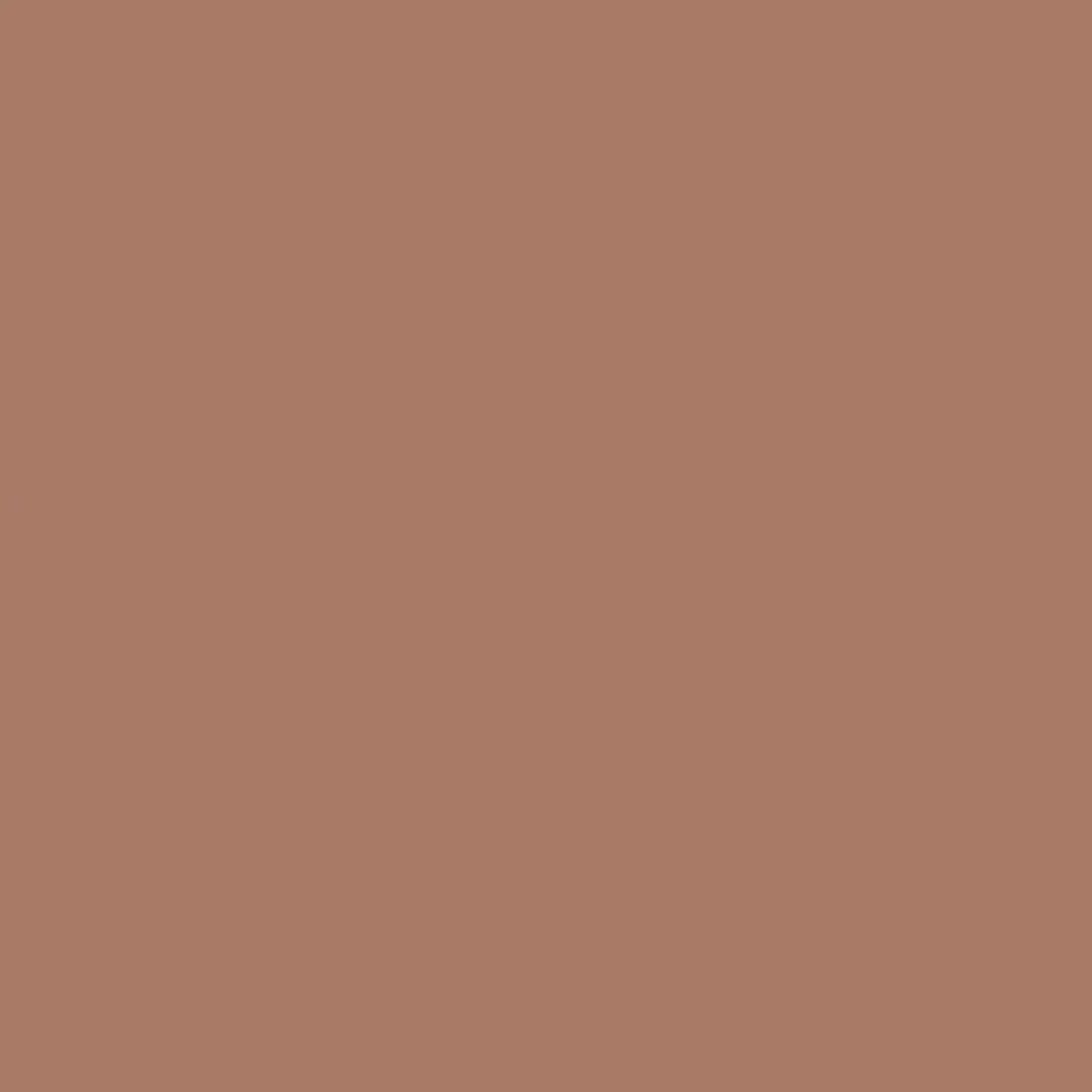 Prinsessegade // Original Pigments Paint
