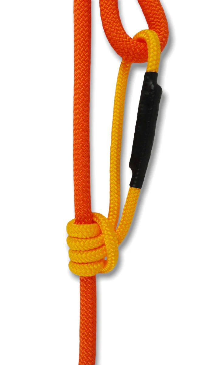 Retractable Leash // Sorbetti Orange - Image 2