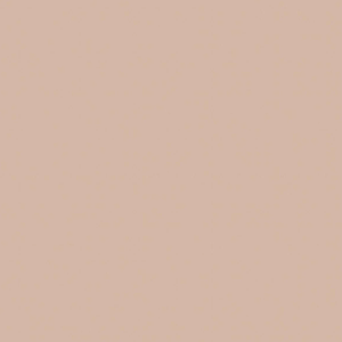 Rive Gauche // Original Pigments Paint