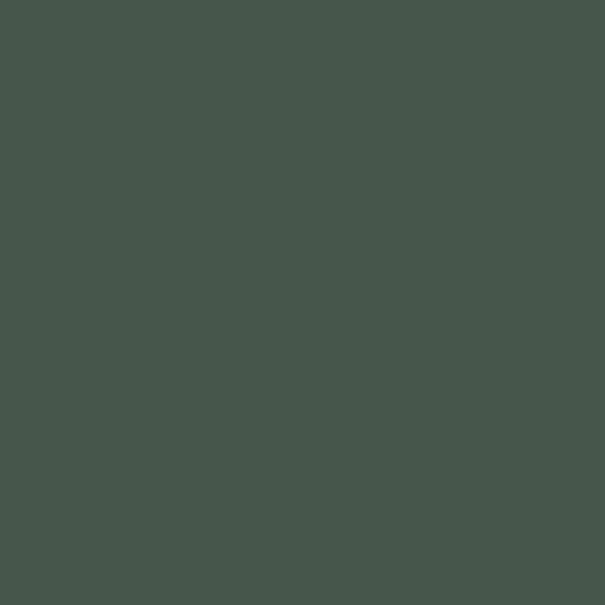 Saint-Martin // Original Pigments Paint