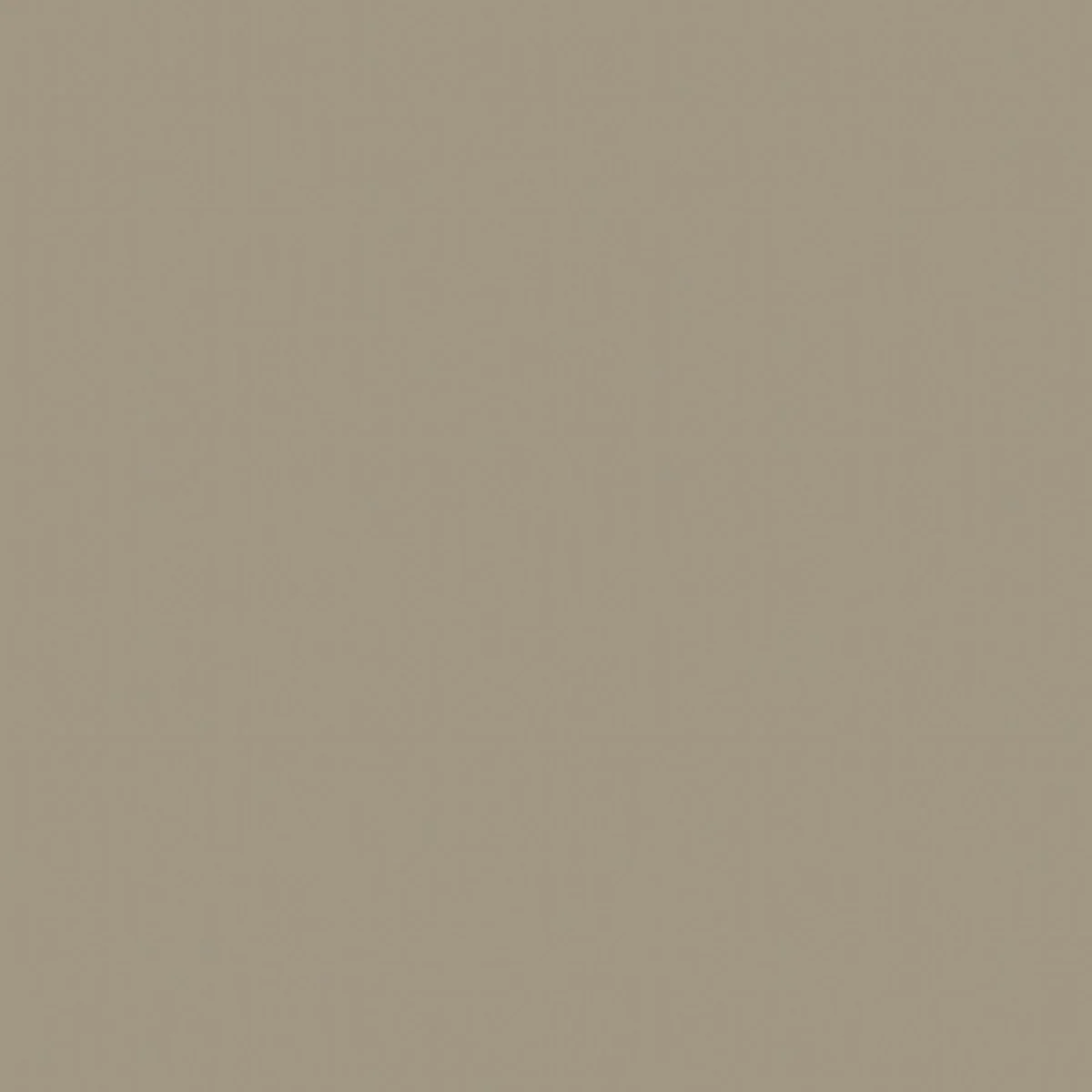 Vleeshuis // Original Pigments Paint